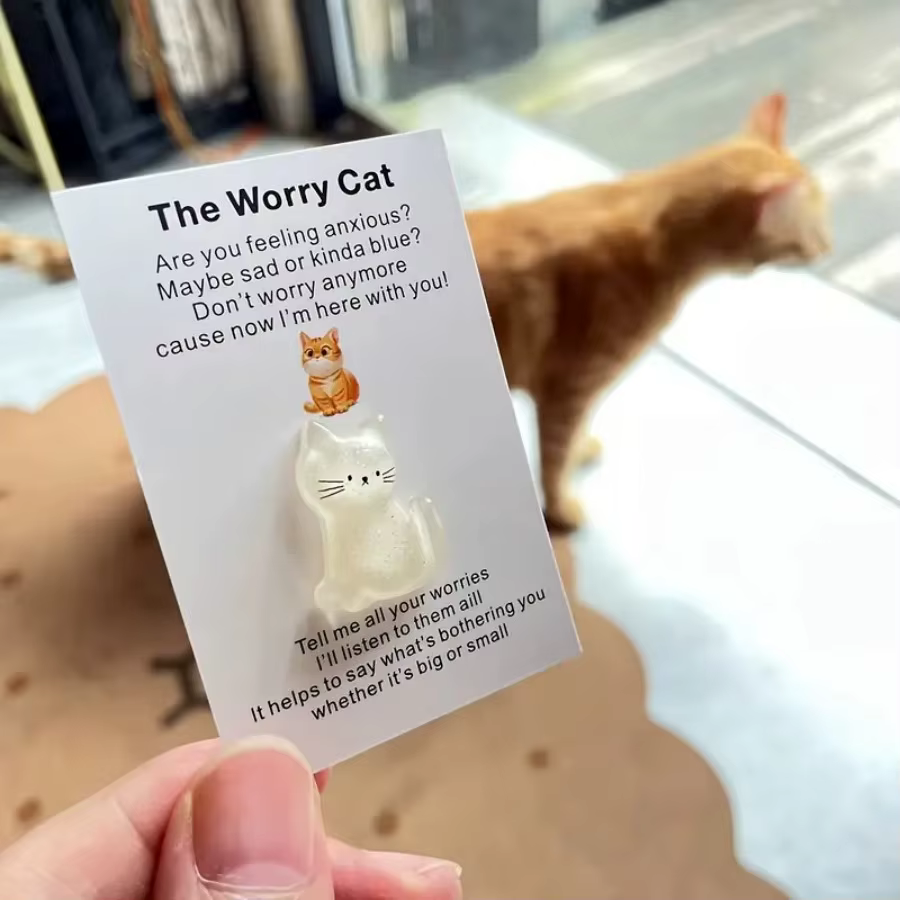 Carte de câlin de poche inspirante, 1 pièce, avec chat de soutien émotionnel amusant, parfaite pour