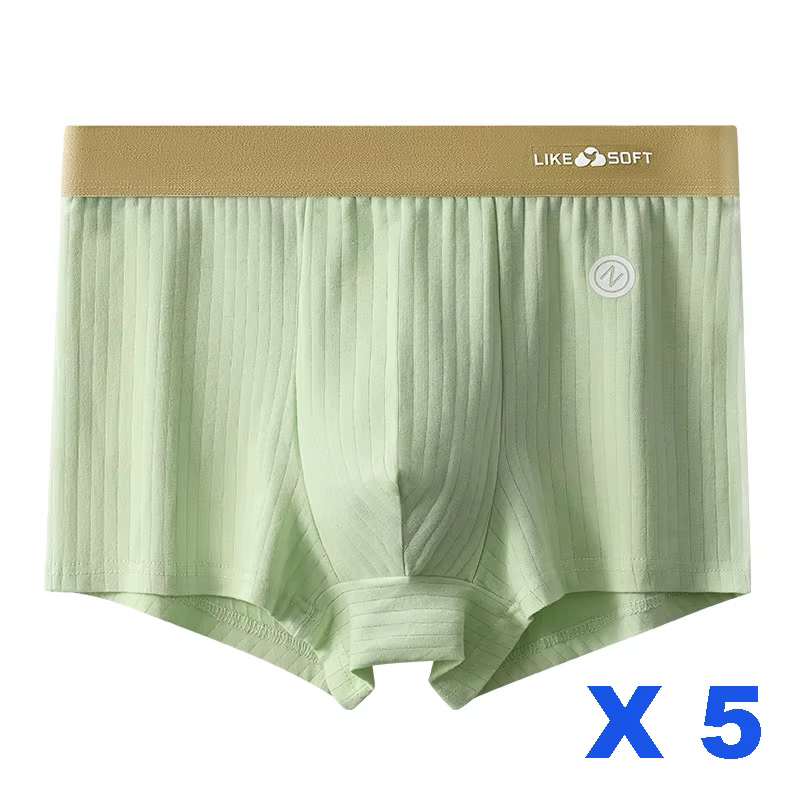 5 pièces hommes rayé drôle Boxer Shorts sous-vêtements Sexy caleçons Homme Homme U convexe Shorts Li