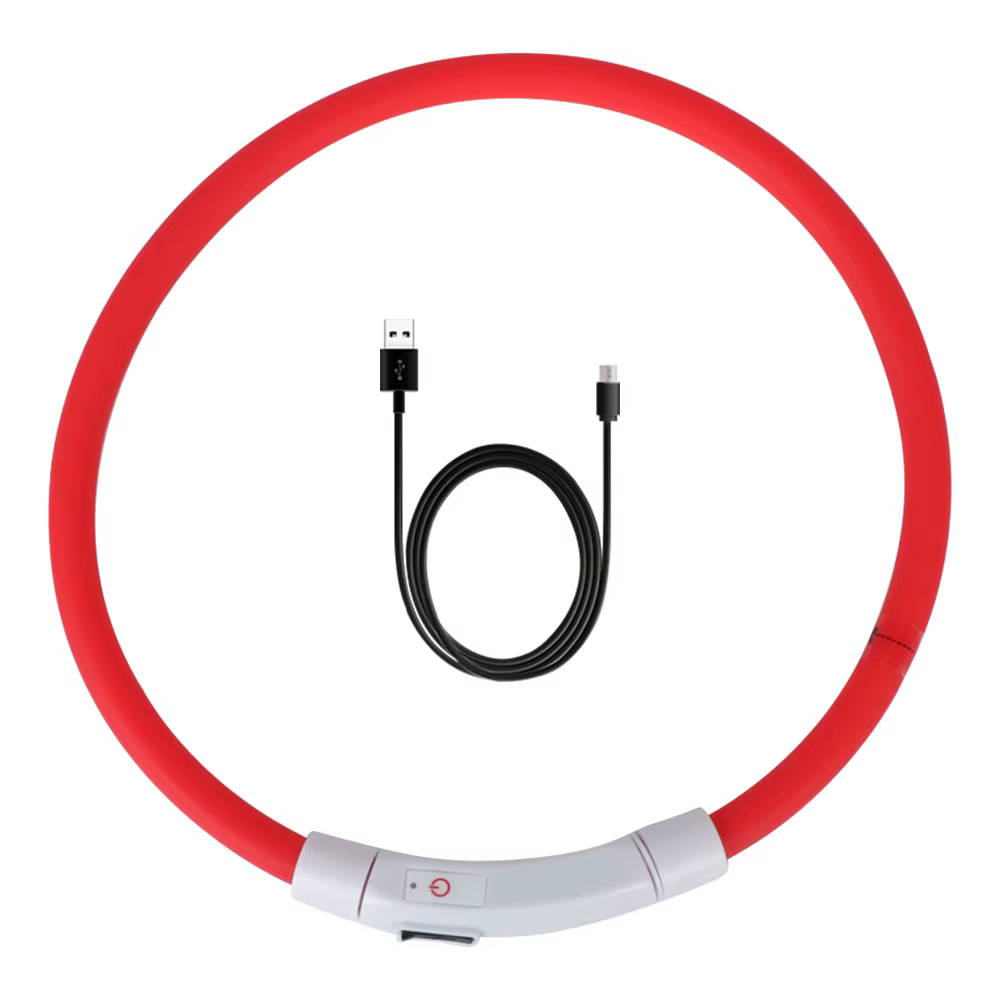Collier de prévention de la perte de chien Led Usb, accessoires pour animaux de compagnie, sécurité